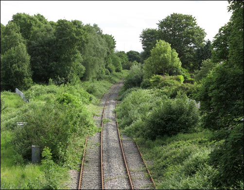 Overgrown Up Dudley Siding