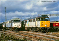 Withdrawn 31125 and 31155 at Bescot